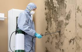 Best Biohazard Mold Removal  in Lake Carmel, NY